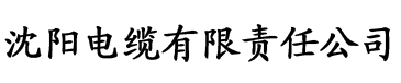 抽插孙倩电缆厂logo